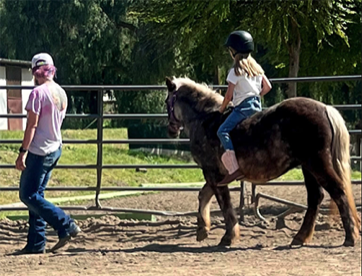 Horsemanship lessons